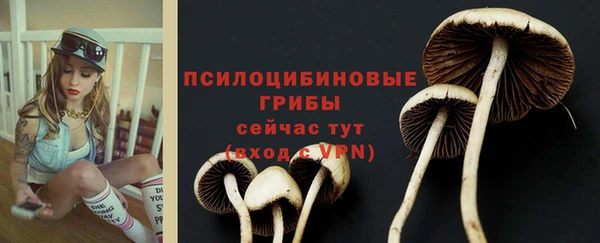 дживик Белокуриха