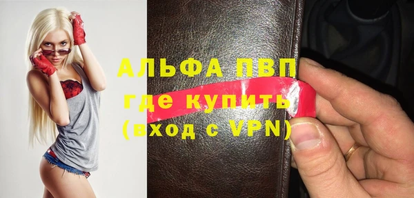 дживик Белокуриха