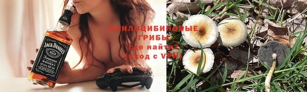 дживик Белокуриха