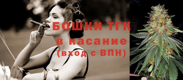 дживик Белокуриха