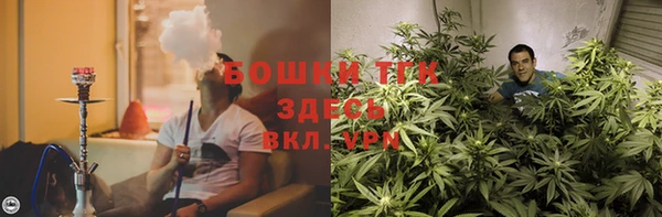 мяу мяу мука Беломорск